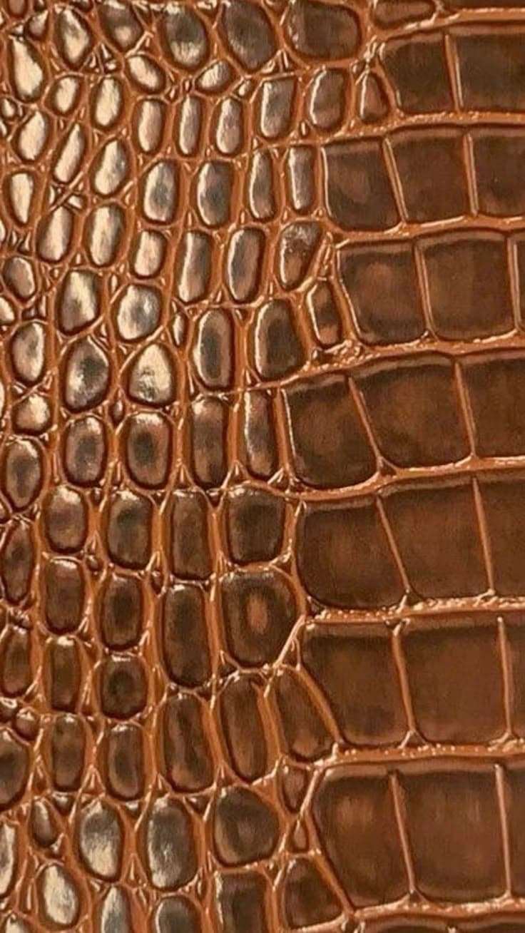 Leather - الجلود